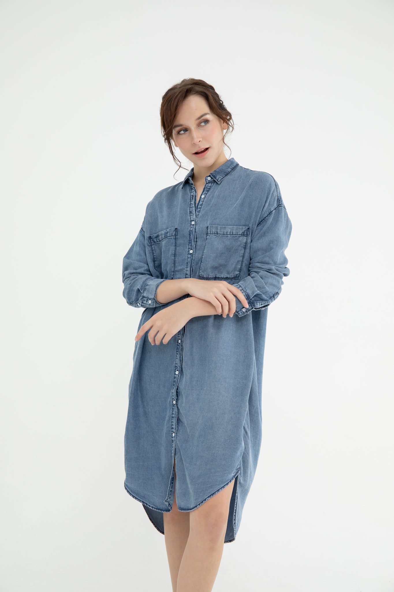 Jones Denim Shirt Dress