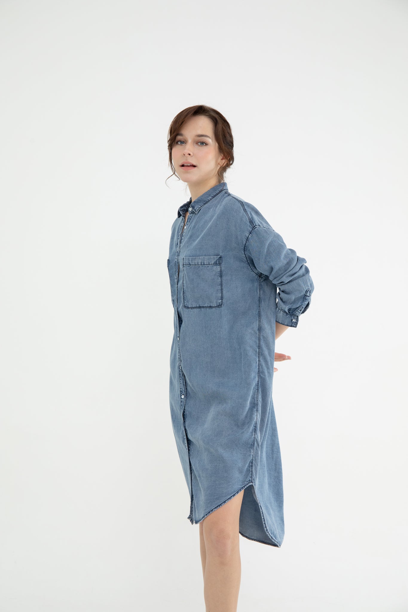 Jones Denim Shirt Dress