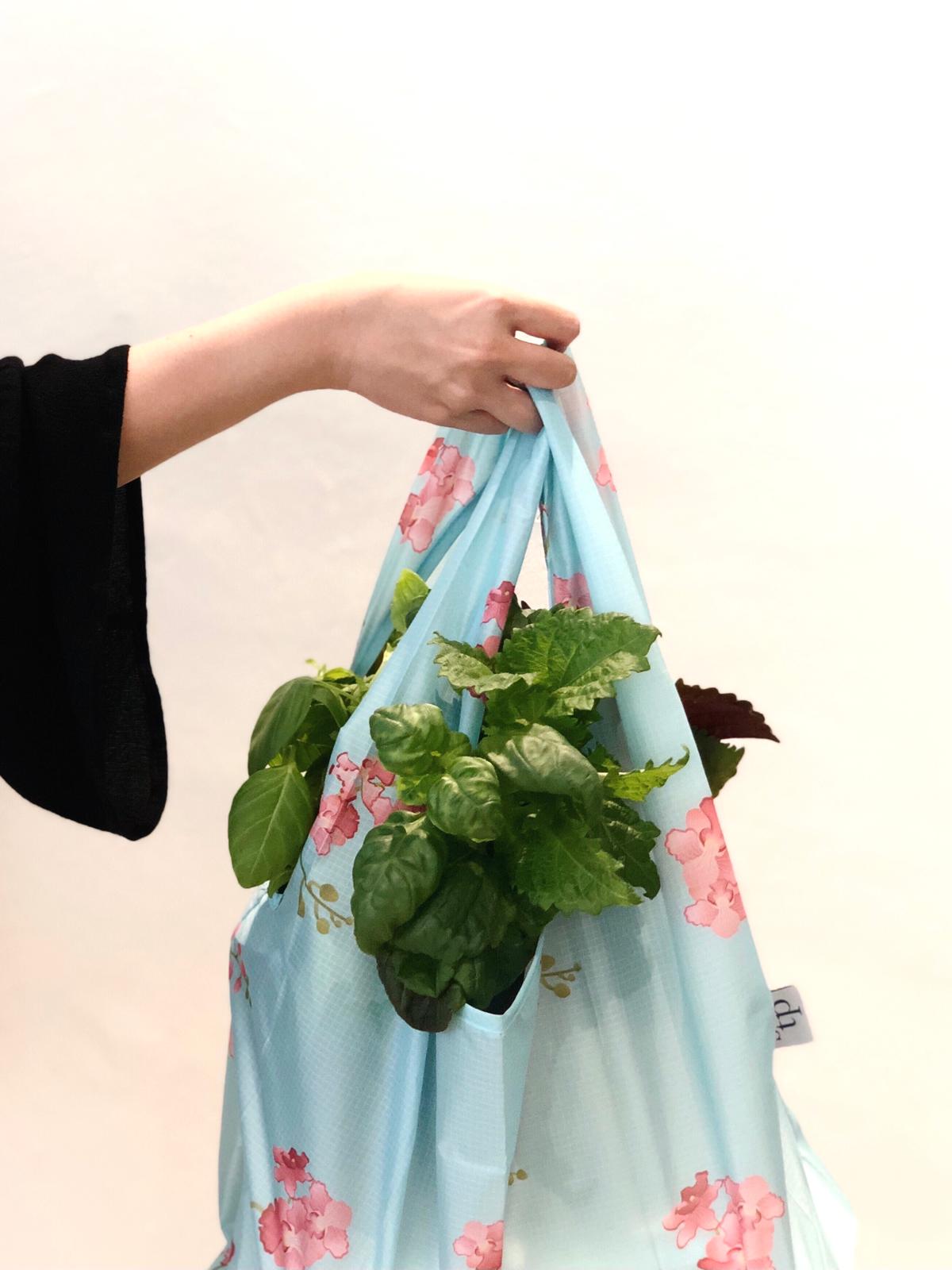 Foldable Reusable Bags