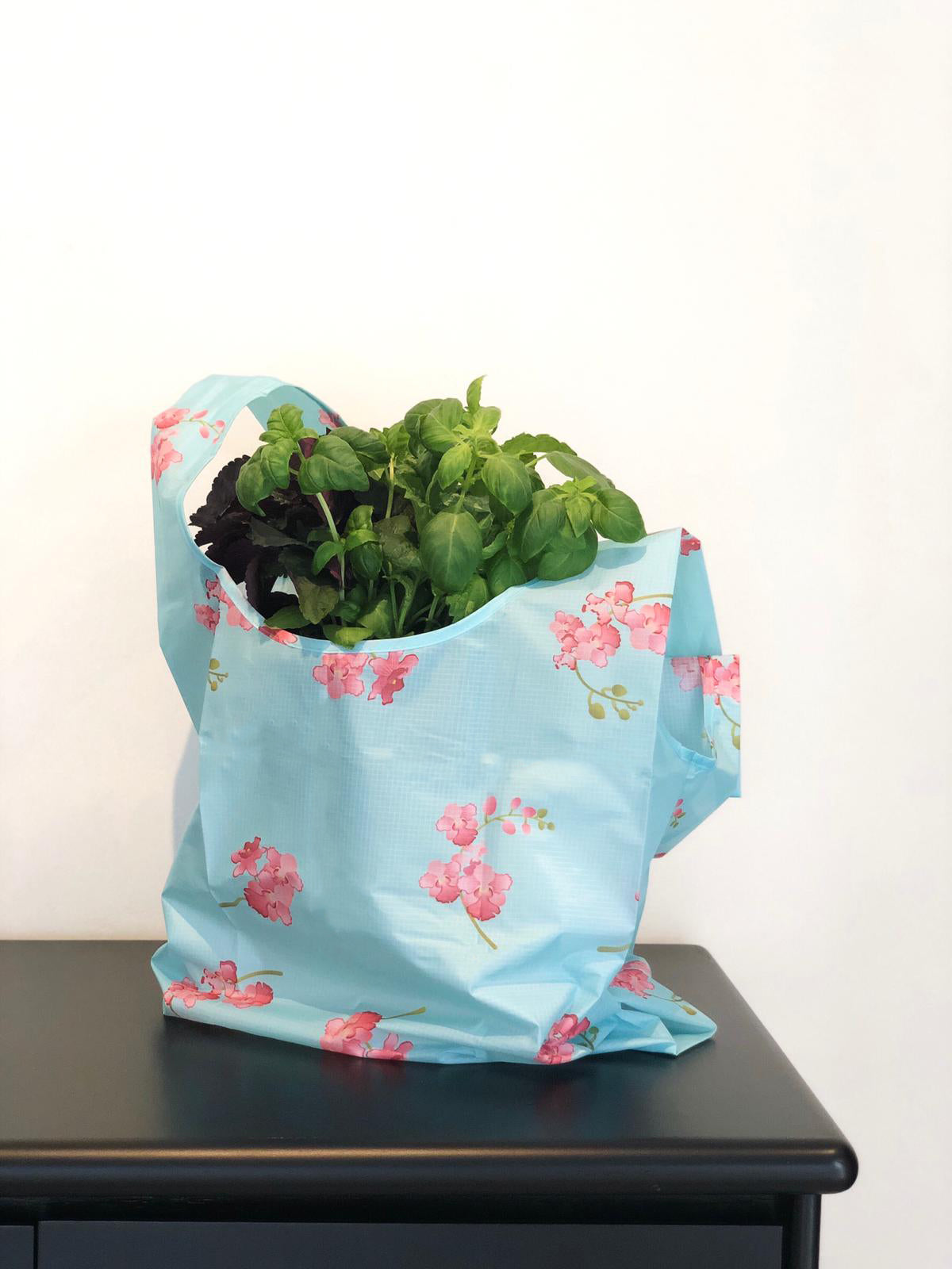 Foldable Reusable Bags